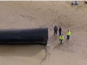 Cano gigante surge em praia e assusta banhistas na Europa