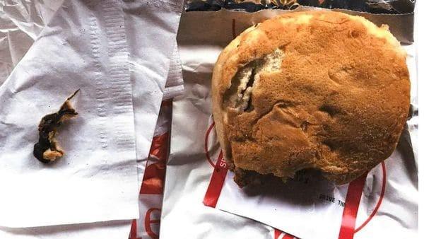 Mulher encontra rato em sanduíche e processa rede de fast food (Crédito: Reprodução/10TV - WBNS)