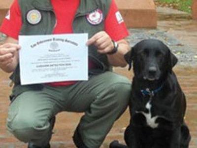 Conheça Camila, a cachorra que achou avião desaparecido
