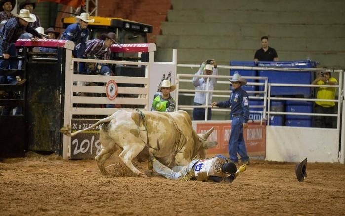 (Crédito: Mateus Rigola/G1)