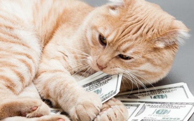 (Crédito: ThinkStock)
