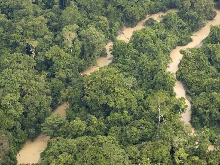 Juiz do DF suspende atos que extinguem reserva na Amazônia