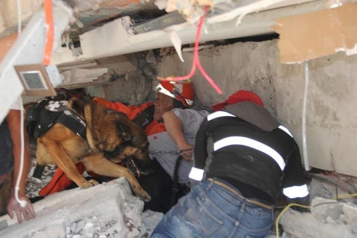 Equipes de resgate procuram crianças em escombros de escola que ruiu na Cidade do México (Crédito: AFP)
