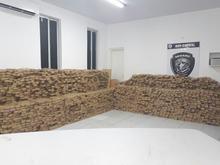 Polícia Civil apreende 3,6 toneladas de maconha no Maranhão