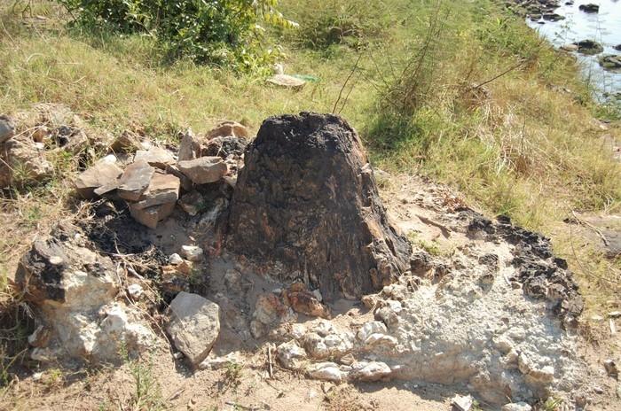 Tronco petrificado da Floresta Fóssil de Teresina (Crédito: Alcide Filho)
