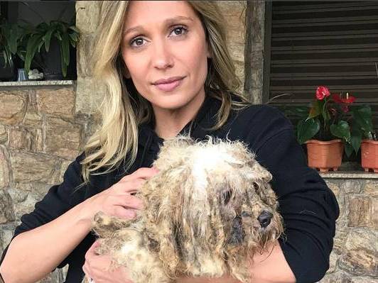 ONG de Luisa Mell resgata 135 cachorros em estado impressionante