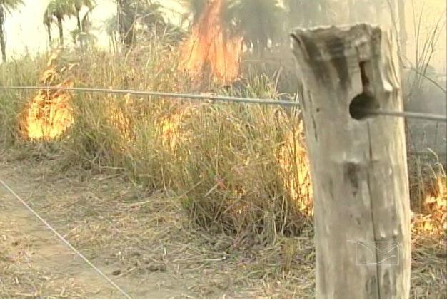 Queimadas no Maranhão preocupam (Crédito: TV Mirante)