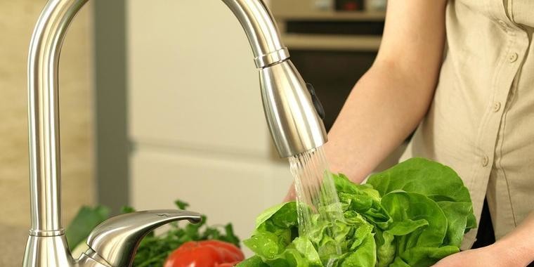 Aprenda os cuidados mais comuns para evitar doenças na alface
