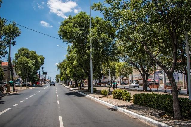Teresina Mais Verde deixa a cidade mais bonita e ajuda diminuir o intenso calor (Crédito: Rômulo Piauilino)