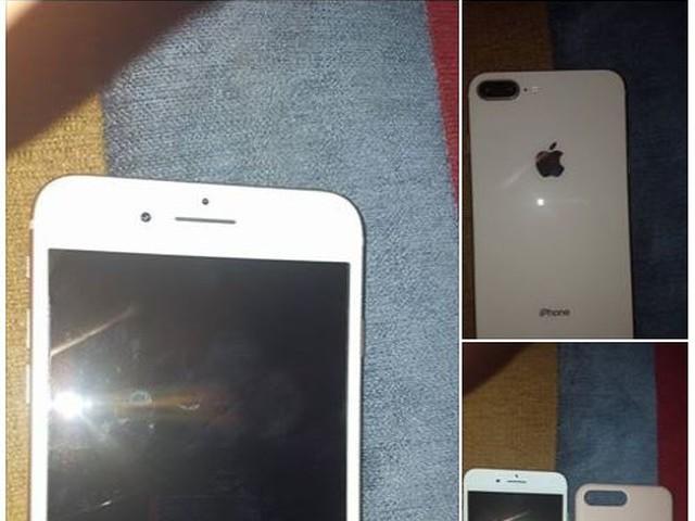 Trabalhador encontra iPhone 8 Plus, tenta localizar dono e viraliza