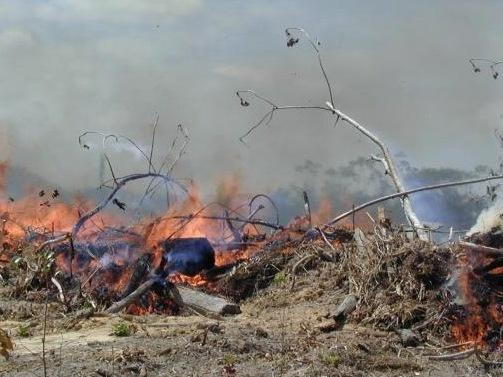 Fumaça das queimadas da Amazônia pode causar câncer, aponta estudo
