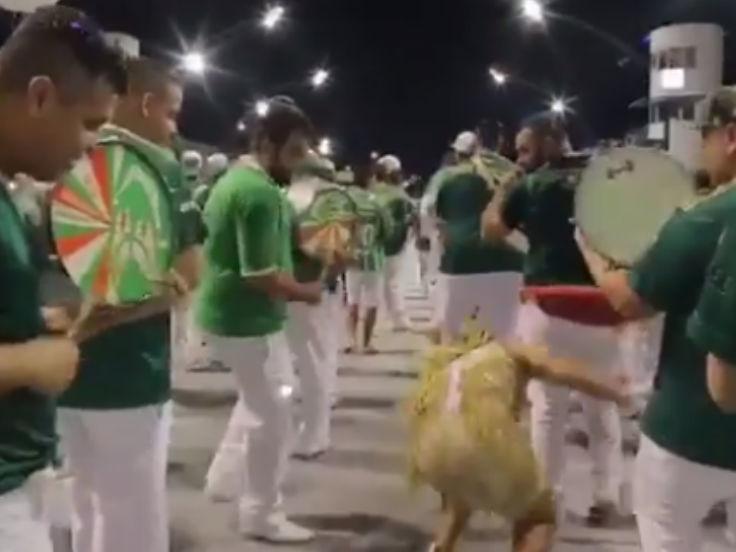 Viviane Araújo se desequilibra em ensaio e bate rosto no chão