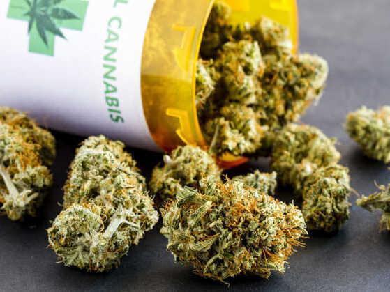 Maconha medicinal pode prevenir doenças de fígado, aponta estudo