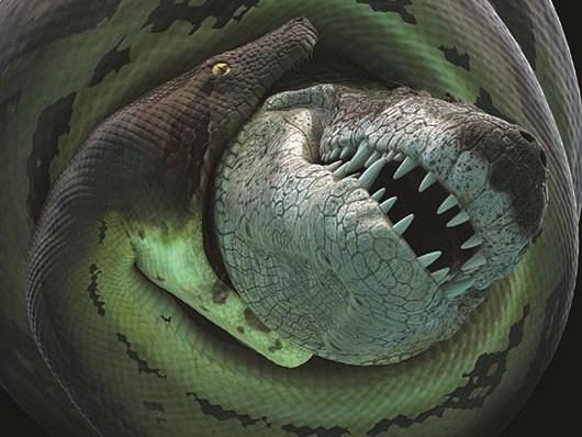 Cobra pré-histórica era maior que um ônibus e comia crocodilos