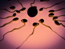 Estudo diz que infertilidade está ligada ao tamanho do pênis