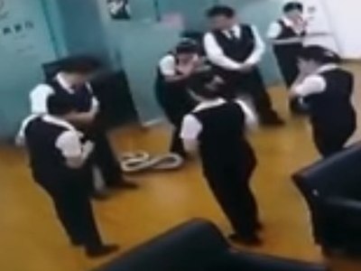 Cobra gigante despenca do teto em reunião de funcionários de banco
