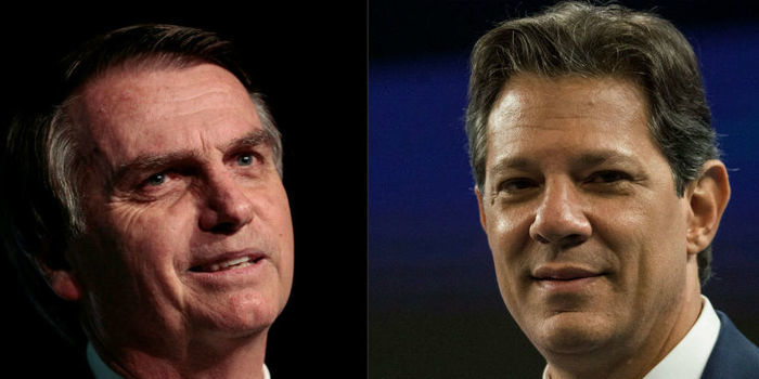 Bolsonaro tem 56%, e Haddad, 44% dos votos válidos, diz Datafolha