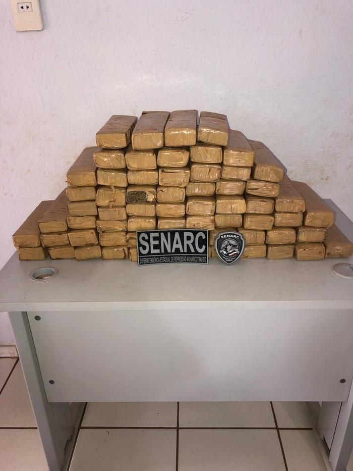 Maconha apreendida no Maranhão (Crédito: Polícia Civil)