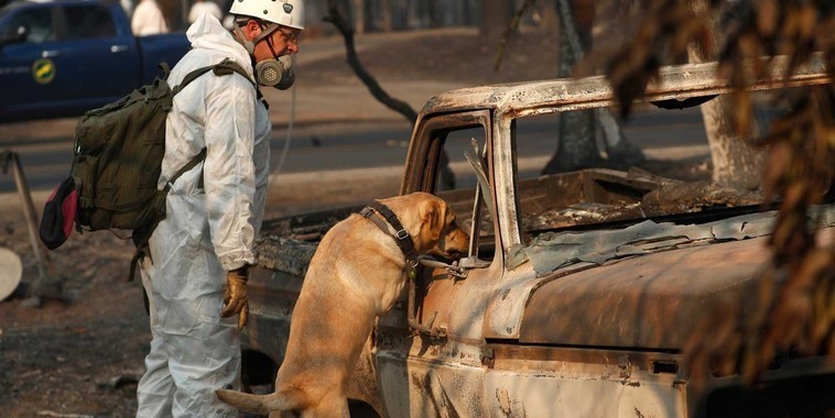Passa de 1.000 o número de desaparecidos em incêndios na Califórnia