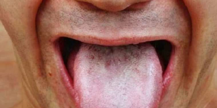 Qual a parte mais limpa e a mais suja de nosso corpo?