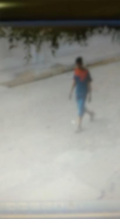 (Crédito: Reprodução/Rede MN)