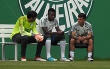 Apesar do fim do campeonato, Palmeiras pode ainda ter estreias