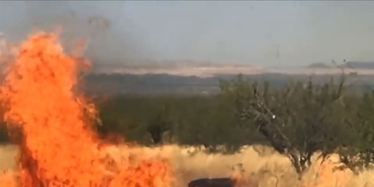 Evento para revelar sexo de bebê termina em incêndio florestal
