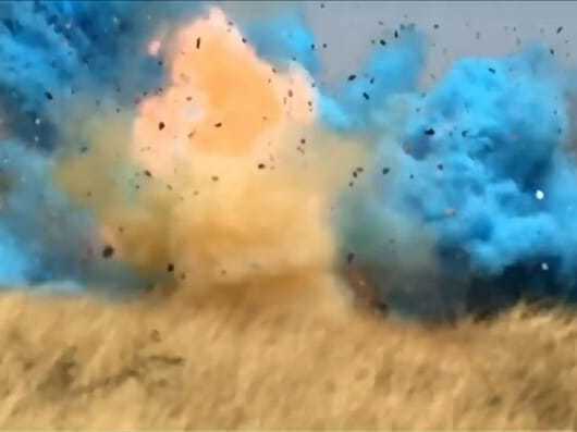 Chá de revelação termina em incêndio florestal e pais pagam multa