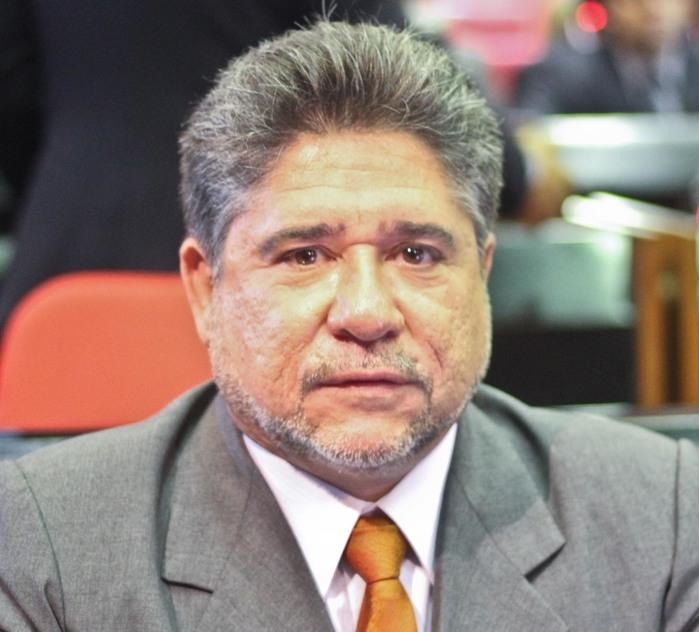 Deputado fala que o partido não vai propor sugestões (Crédito: alepi)