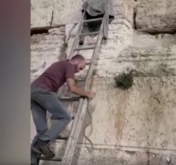 Cobra no Muro das Lamentações levanta teorias sobre fim dos tempos