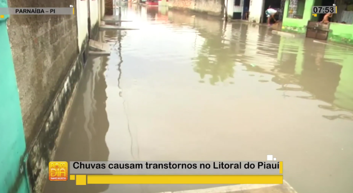 (Crédito: Reprodução/Rede MN)