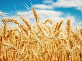 5 simpatias de ano novo para atrair prosperidade, sorte e dinheiro