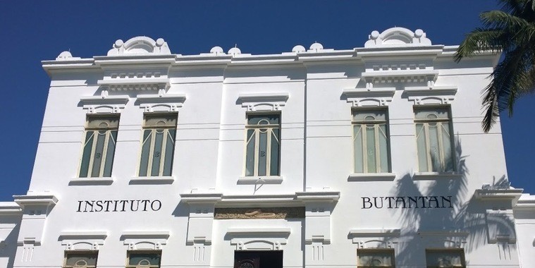 Butantan vai colaborar em vacina contra a dengue
