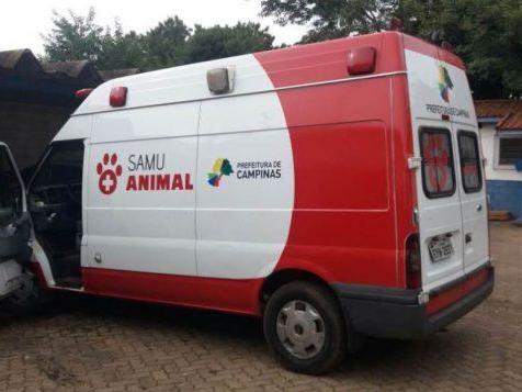 Vereador pede criação 1° SAMU Animal do Piauí em Parnaíba