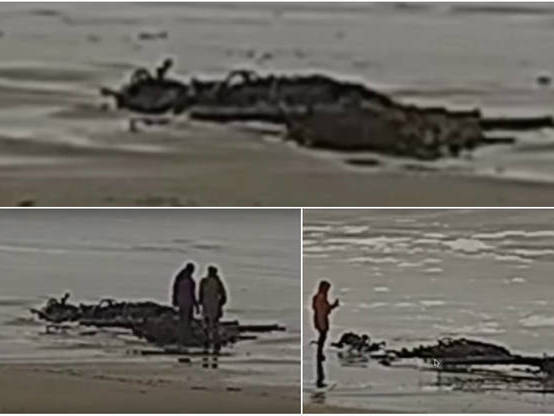 Restos de criatura misteriosa e gigantesca aparecem em praia; vídeo