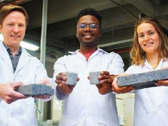 Cientistas da África do Sul criam tijolo ecológico criado com urina