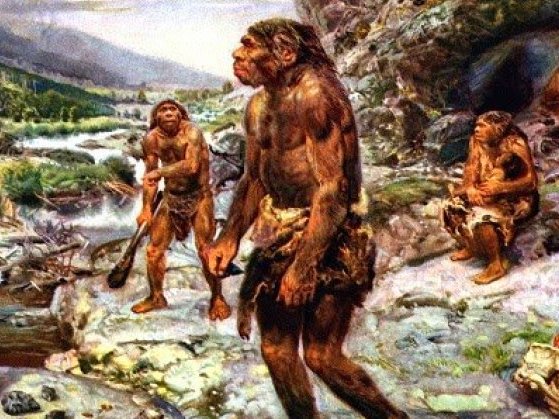 Por que os humanos perderam os pelos com a evolução?