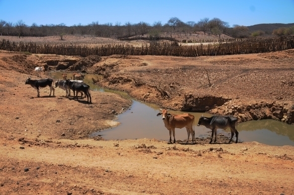 Governo reconhece emergência em 5 municípios do Piauí