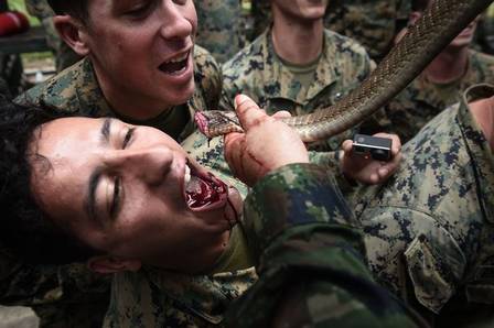 Exerccio militar na Tailndia: cobra no 'cardpio' (Crdito: AFP)