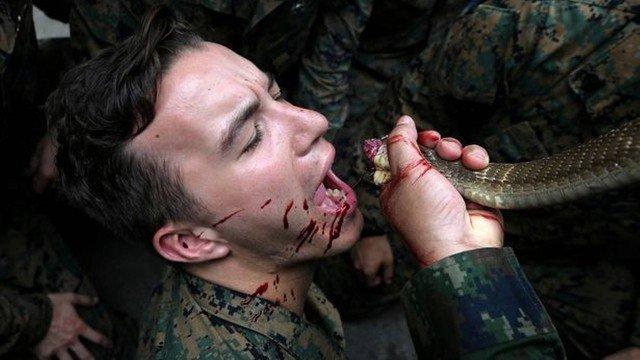 Exercício militar na Tailândia: cobra no 'cardápio' (Crédito: AFP)
