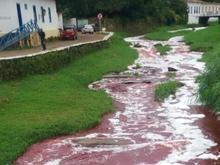 Caminhão carregado de sangue bovino tomba e forma
