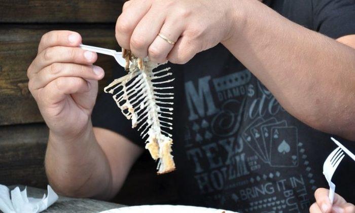Espinha de peixe (Crédito: Reprodução)