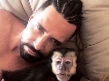 Latino vai ganhar diamante feito das cinzas do macaco Twelves