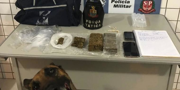 Cão farejador abre "sorriso" em foto após apreensão de drogas