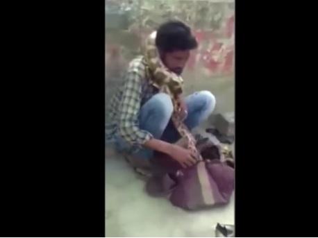 Encantador de serpentes quase morre estrangulado por píton; vídeo
