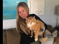 Gato caminha 20 km para retornar à família, mas é renegado