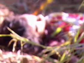 Polícia identifica corpo de mulher encontrada morta em matagal