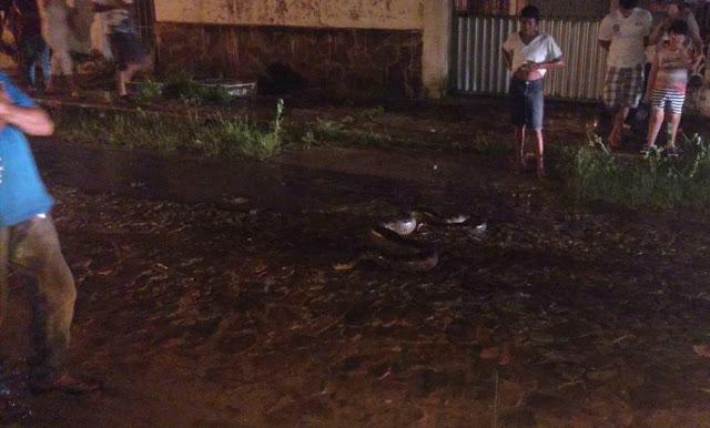 (Crédito: Plantão Parnaíba 24 horas)