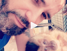 Latino beija nova macaca: