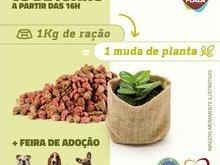 Trque 1kg de ração por uma muda de planta no Picos Plaza Shopping